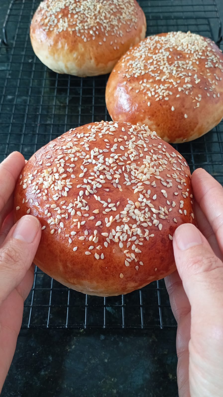 Pão de Hambúrguer